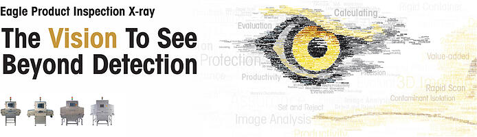 Eagle PI Logo