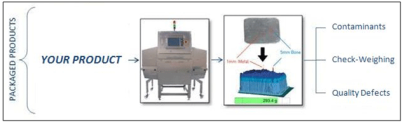 Inspection Schematic   Standard Product resized 403