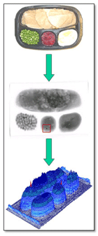 X-ray machines take grayscale images of products and analyze them.