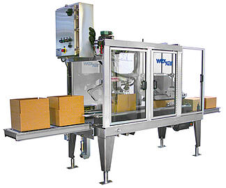 Hot Melt Glue Case Sealer WSH