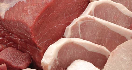 X Ray Inspection of Meat