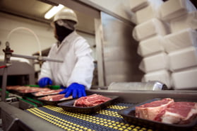 Food Safety Audit