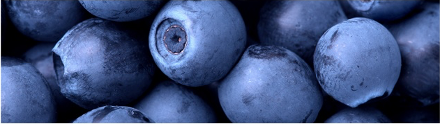 juicy blueberries.png