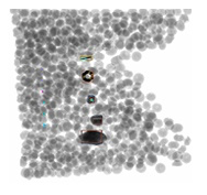 detected blueberry contaminants.png